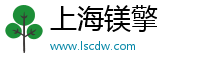 上海镁擎
